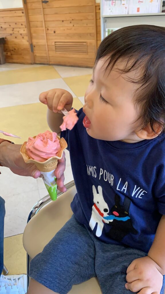 市民の森のいちごそふと