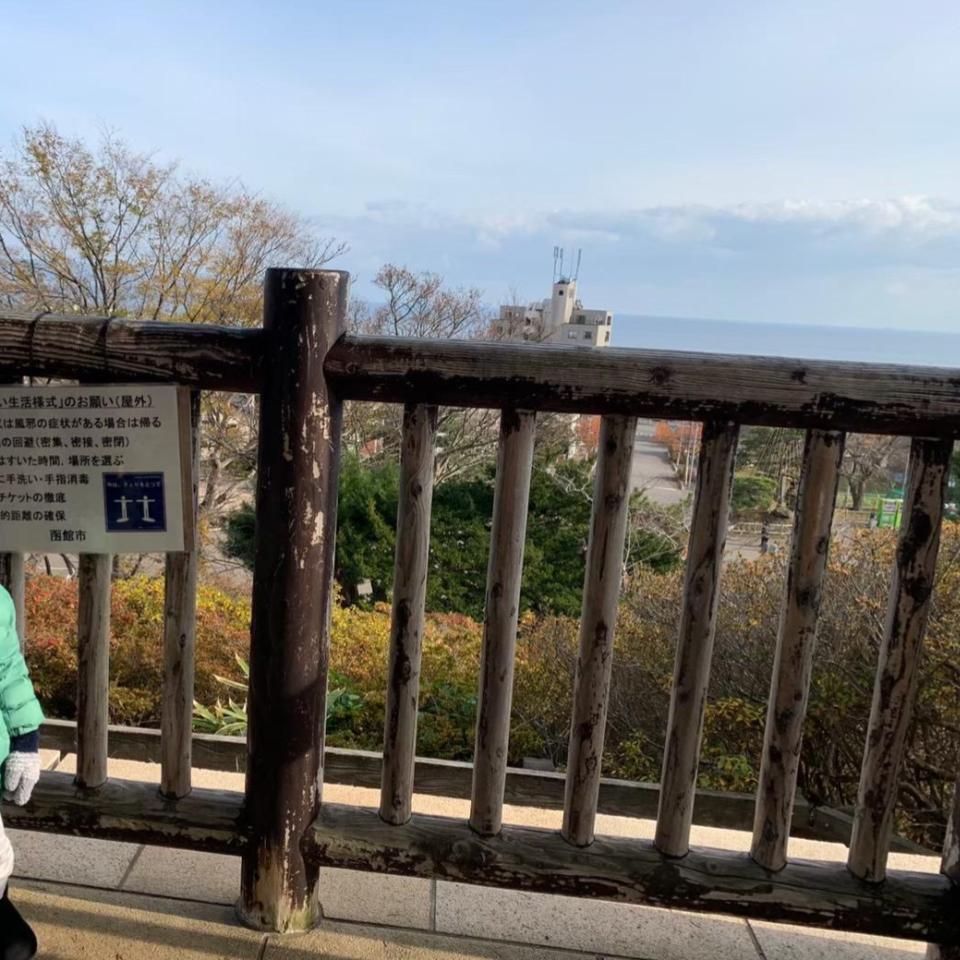 函館公園展望台からの眺め